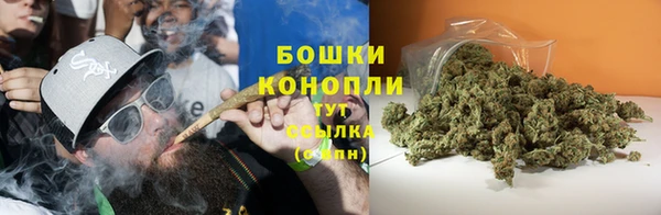 трава Верхний Тагил