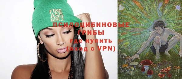 ПСИЛОЦИБИНОВЫЕ ГРИБЫ Бородино